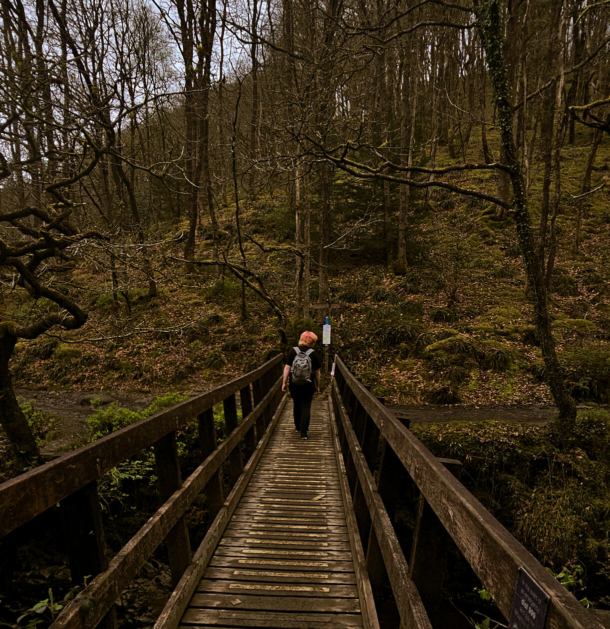 Walk With Nature (Ongoing)