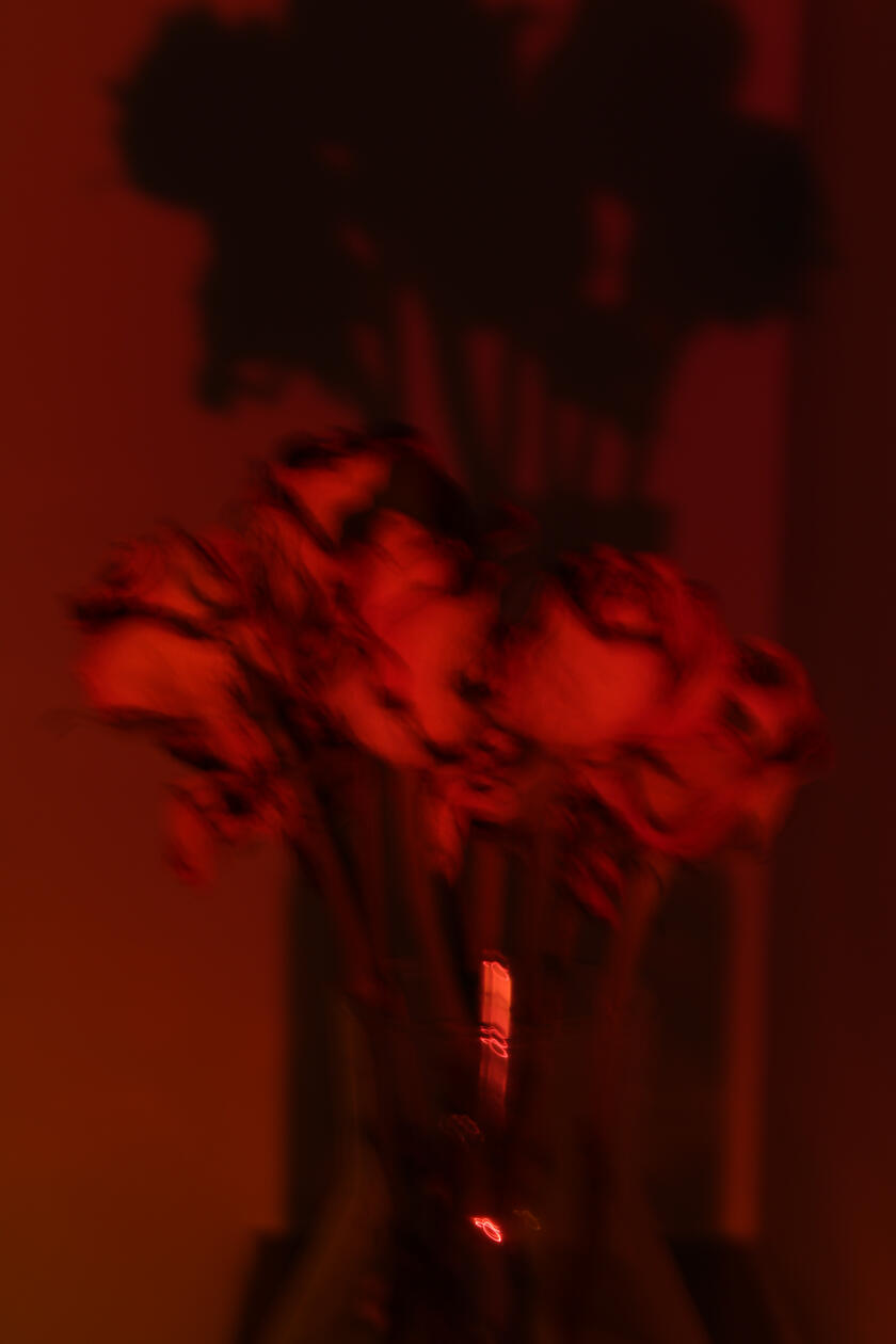 Untitled Untitled